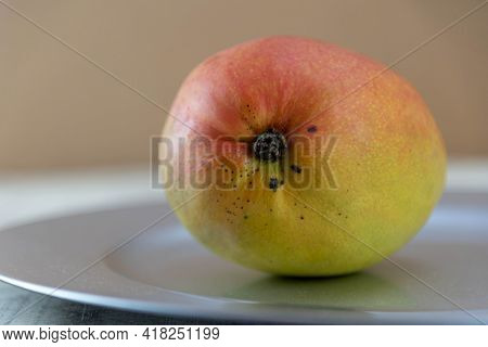 Fresh Pink Mango Fruit.