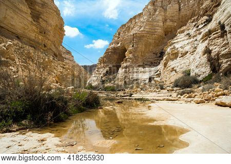 Picturesque ancient oasis in the Negev desert - the magnificent gorge Ein Avdat. Israel. Beginning of a route. The concept of photo tourism. Within the walls there are many caves and rocks