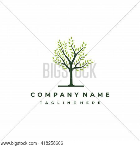 Vibrant Tree Logo Design, Tree Vector Illustration. Tree Of Life Logo Design Inspiration