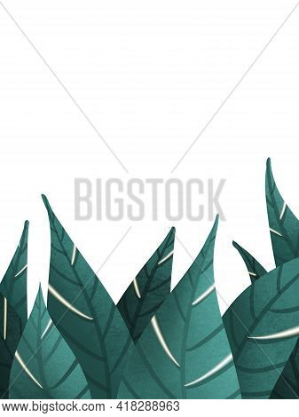 Background Rastra Images Of Rastra Green Plants