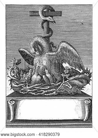 Allegorical emblem with the pelican pecking itself in the breast to feed its young with its own blood together with the copper snake around the cross.