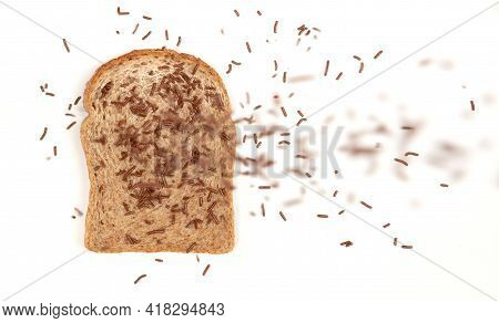 Typical Dutch Chocolate Sprinkles Falling (hagelslag), Used On Bread, Cake Or Desserts