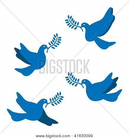 sada Dove