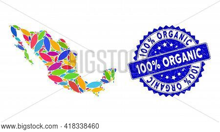 Colorful Mexico Mosaic Map Done Of Coca Leaf Pictograms, And 100 Percent Organic Textured Stamp. Vec
