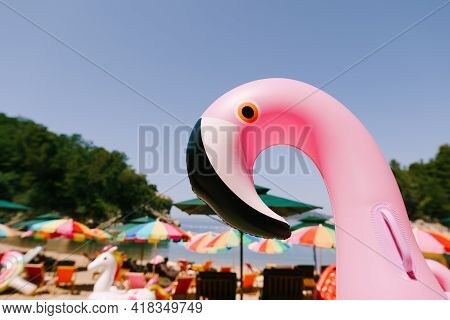 Inflatable Pink Flamingo On The Royal Beach In Przno Against The Background Of Green Trees