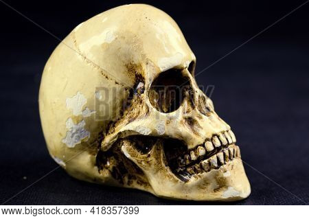 Old Human White Skull Including Teeth. Concept For Halloween.