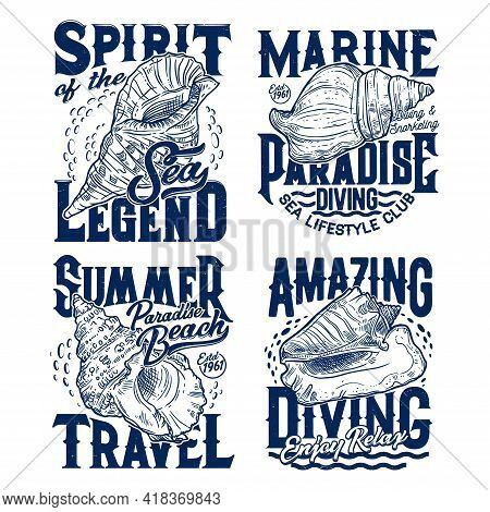 Horse, Fighting Or Queen Conch Seashells T-shirt Print Template. Scuba Diving, Snorkeling And Beach 