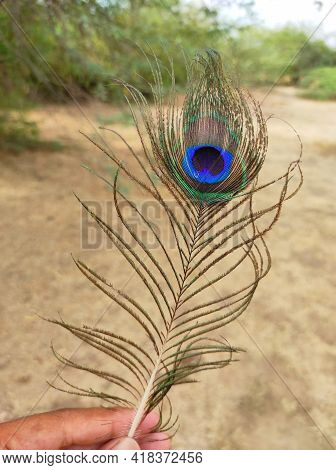 A Peacock Feathers Are Very Beautiful Background