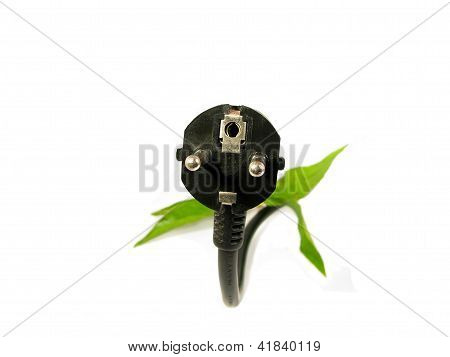 bladeren groeien op een stekker, groene energie
