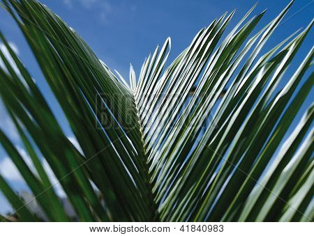 Landscape Image - Seasons Nature