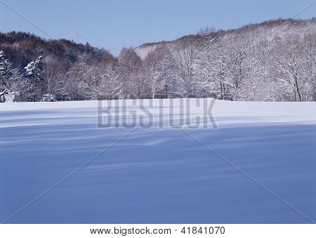 Landscape Image - Seasons Nature