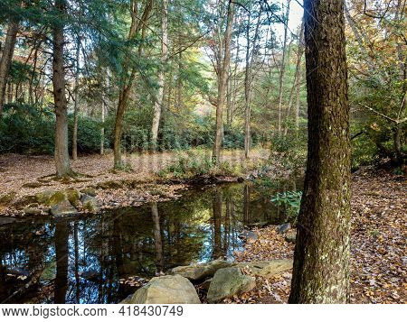 Clear Creek State Park Near Clarion, Pennsylvania In The Fall With The Fallen Leaves And Fall Foliag