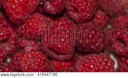 Red Raspberries. Raspberry Background. Fresh Big Bright Appetizing Raspberry. View From Above. Macro