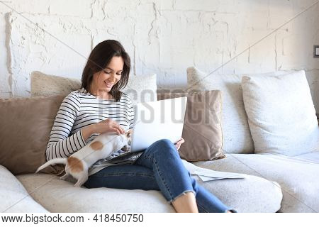 Smiling Young Woman Sitting On Sofa With Laptop Computer And Chating With Friends, Little Dog Playin
