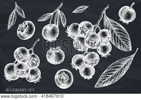 Vector Set Of Hand Drawn Chalk Blueberry Stock Illustration