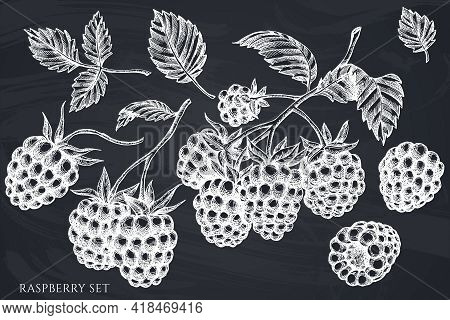 Vector Set Of Hand Drawn Chalk Raspberry Stock Illustration