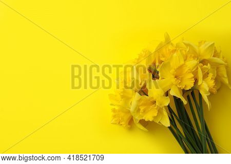 Beautiful Daffodil Bouquet On Yellow Background, Top View. Space For Text