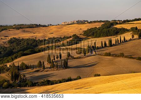 Cipressi di Monticchielo, Typical Tuscan landscape near Montepulciano, Italy