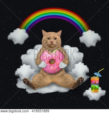 A Reddish Cat With A Pink Donut Sits On A Cloudy Sofa Under A Rainbow At Night.