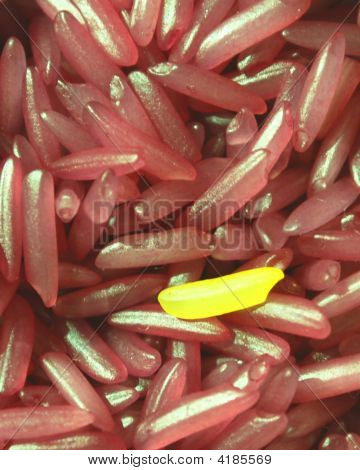 Red And Yellow Rice