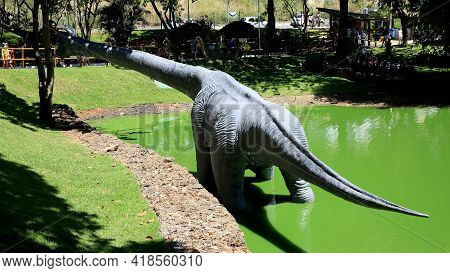 Dinosaur Pond In Salvador