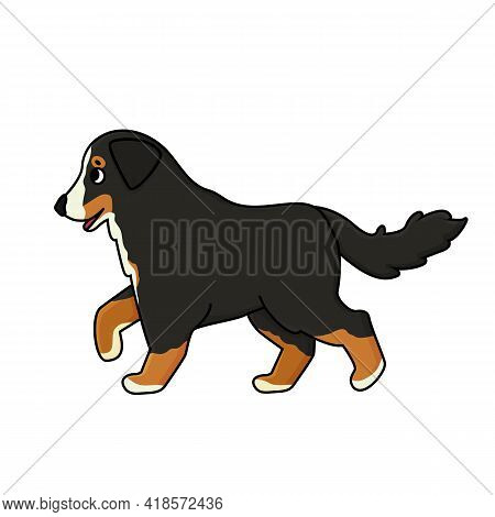 Vector Adorable Cute Outline Cartoon Hand Drawn Bernese Mountain Dog Is Going To Somewhere. Animal I
