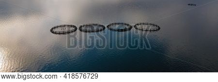 Fish Breeding Industry. Fish Cages Of Trout Fish Farm In Water. Food Industry, Traditional Craft Pro