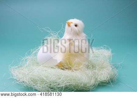 A Small Yellow Chicken With A Shell On Its Head. Hatched Baby Bird Postcard With A Copy Of The Place