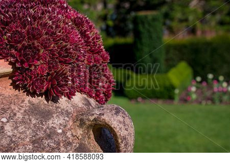 Beautiful Spring Flowers And Leaves Nature Floral Wallpaper