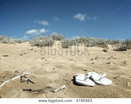 Flip Flop