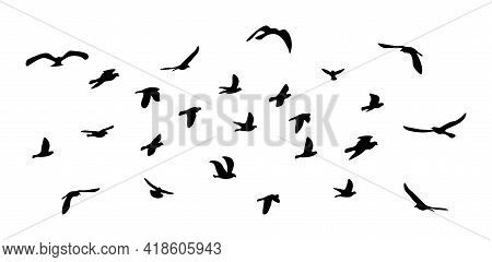 Flock Of Flying Birds. Vector Silhouette Birds, Stock Illustration