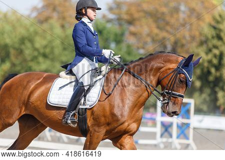 Young Girl Riding Horse At Dressage Advanced Test