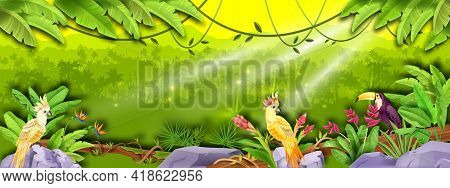 Jungle Vector Rainforest Landscape, Palm Silhouette, Banana Leaves, Parrot, Toucan, Sun Rays, Exotic