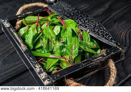 Raw Chard Leaves, Mangold, Swiss Chard In A Wooden Tray. Black Wooden Background. Top View