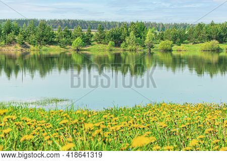 Blue Lake And Yellow Dandelions In The Foreground And Green Forest Behind The Lake.