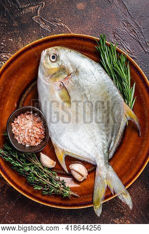 Fresh Raw Florida Pompano Fish On A Rustic Plate. Dark Background. Top View