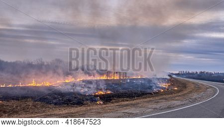 In The Spring In The Evening, Dry Grass Burns On The Field Near The Road. Grassroots Natural Fire.