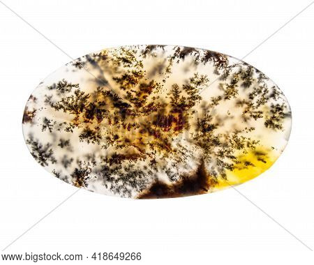 Oval Cabochon Of Moss Agate Isolated On A White Background. High Quality Photo