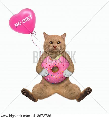 A Reddish Cat Sits And Holds A Pink Donut And A Heart Shaped Balloon With Text No Diet. White Backgr