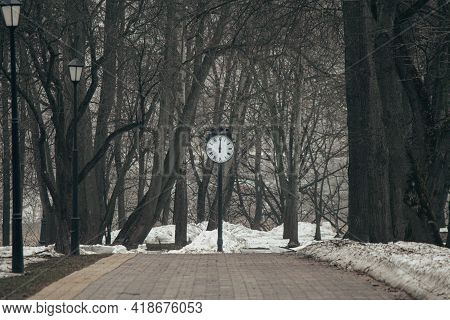The Clock On The Pole At The End Of The Alley In The Park