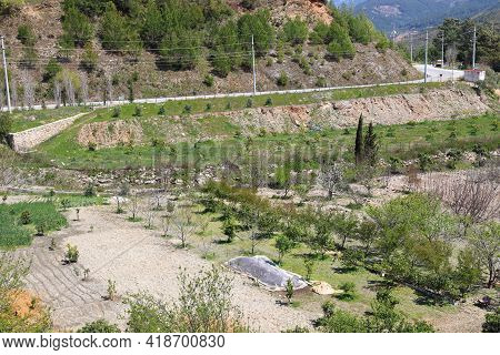 Planting Fruit Trees Along A New Road In The Dim River Gorge, Turkey, April, 2021