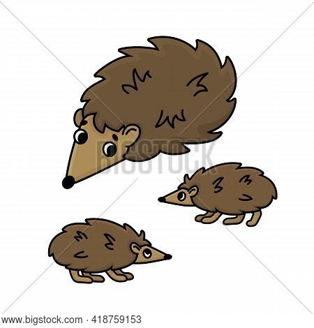 Cute Family Of Three Brown Doodle Cartoon Hedgehogs. Vector Outline Isolated Hand Drawn Female, Baby