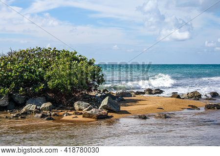 Brown Sandy Beach With Trees And Surrounded By Wind-swept Sea In Puerto Rico