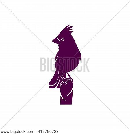 Northern Cardinal Bird Design Vector Illustration, Creative Northern Cardinal Bird Logo Design Conce