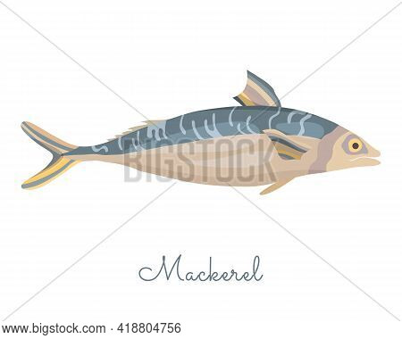 One Isolated Mackerel Fish Made In Flat Style. Colored Mackerel Without Outlines, With Light Glare A