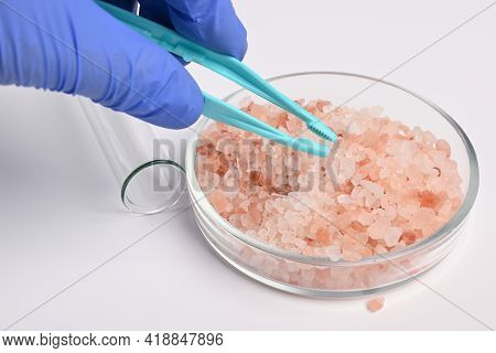 Hand Takes Rose Salt In Lab Petri Dish With Pincet. Laboratory Test Of Colored Aromatic Salt For Tox