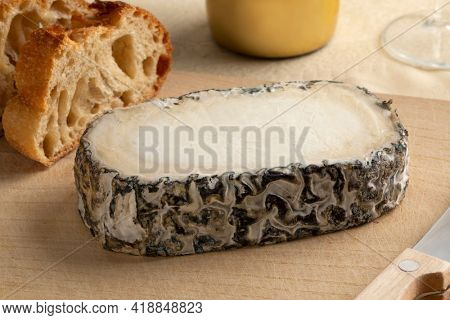 Slice of  Spanish Monte Enebro artisan cheese close up  on a cutting board 