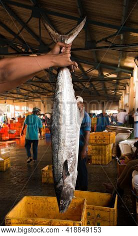 Human Hand Holding A King Mackerel In The Fish Market, Mangalore, India