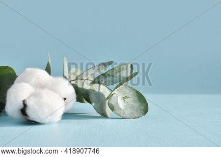 Podium For Product Presentations. Background With A Branch Of Eucalyptus And Cotton. Prerequisites F