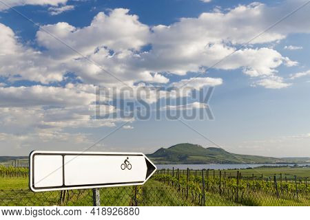 Spring vineyards under Palava near Sonberk, South Moravia, Czech Republic